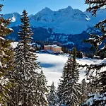 Pratschli Hotel 4*